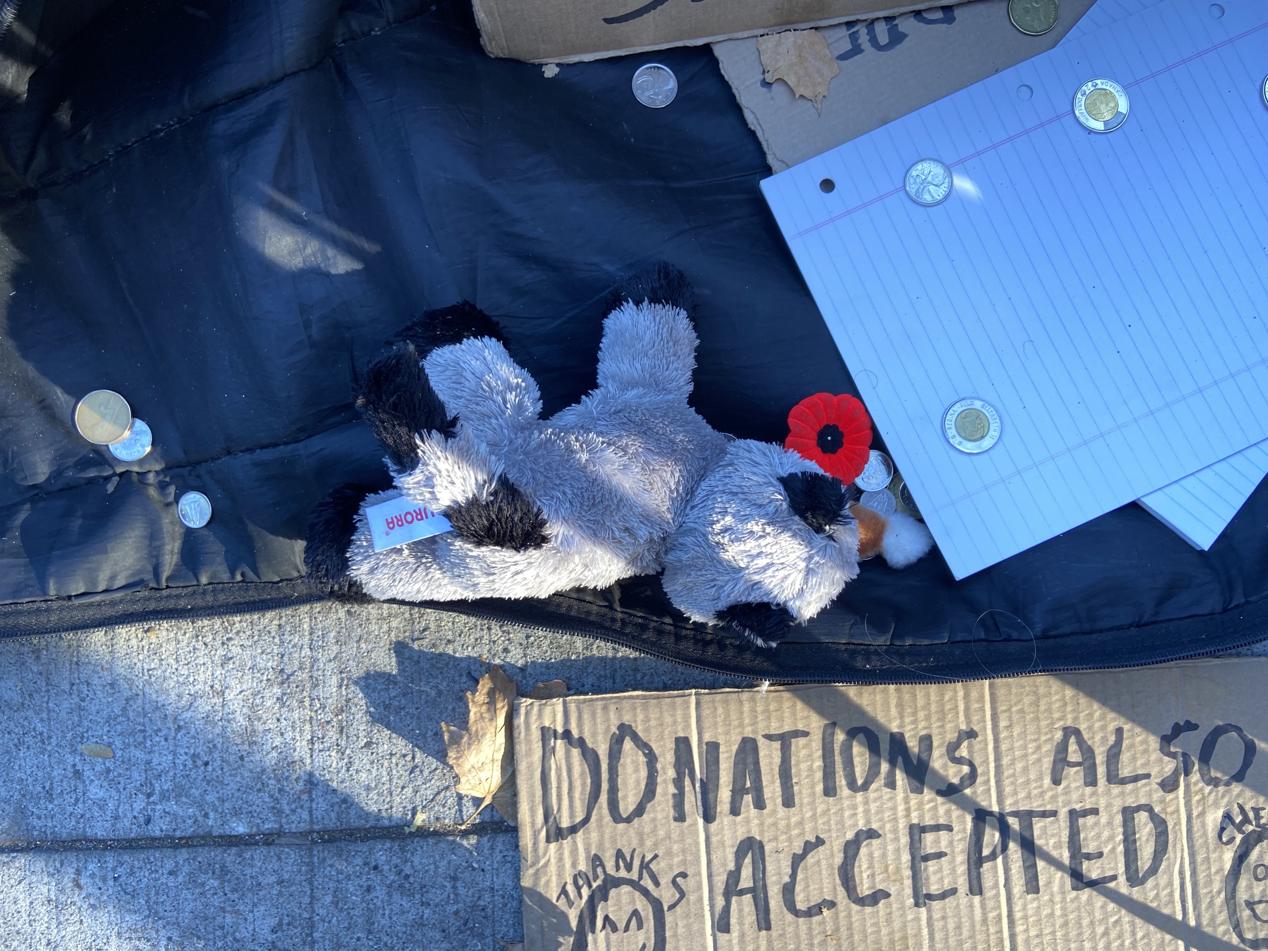 A stuffed animal and loose change in a guitar box