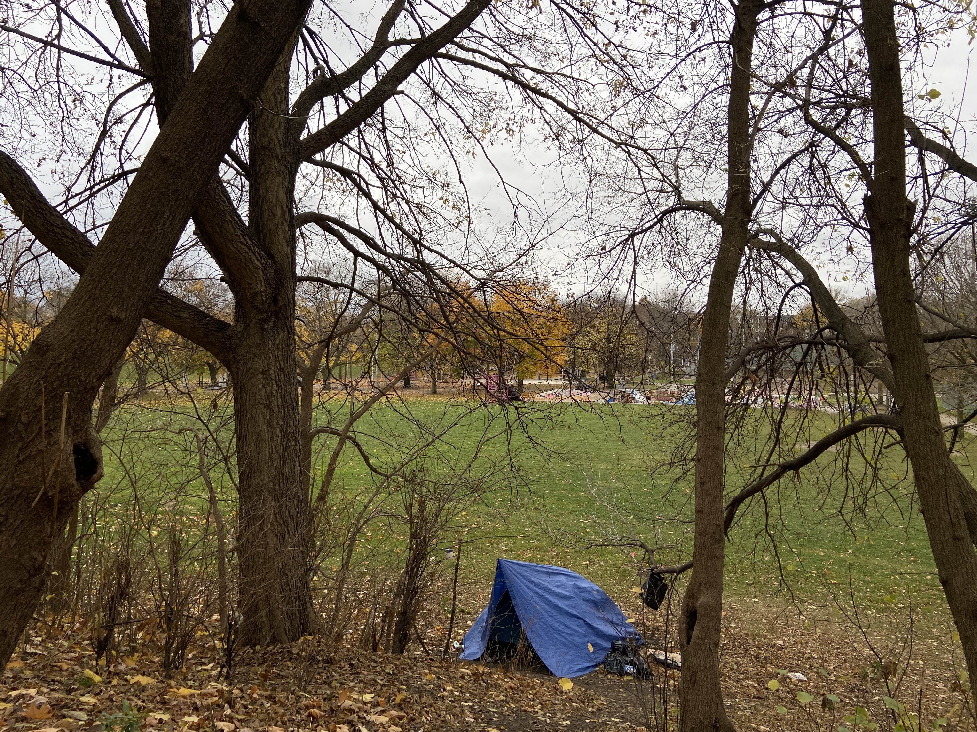 A blue tarp creates a tent shape besides trees in a park