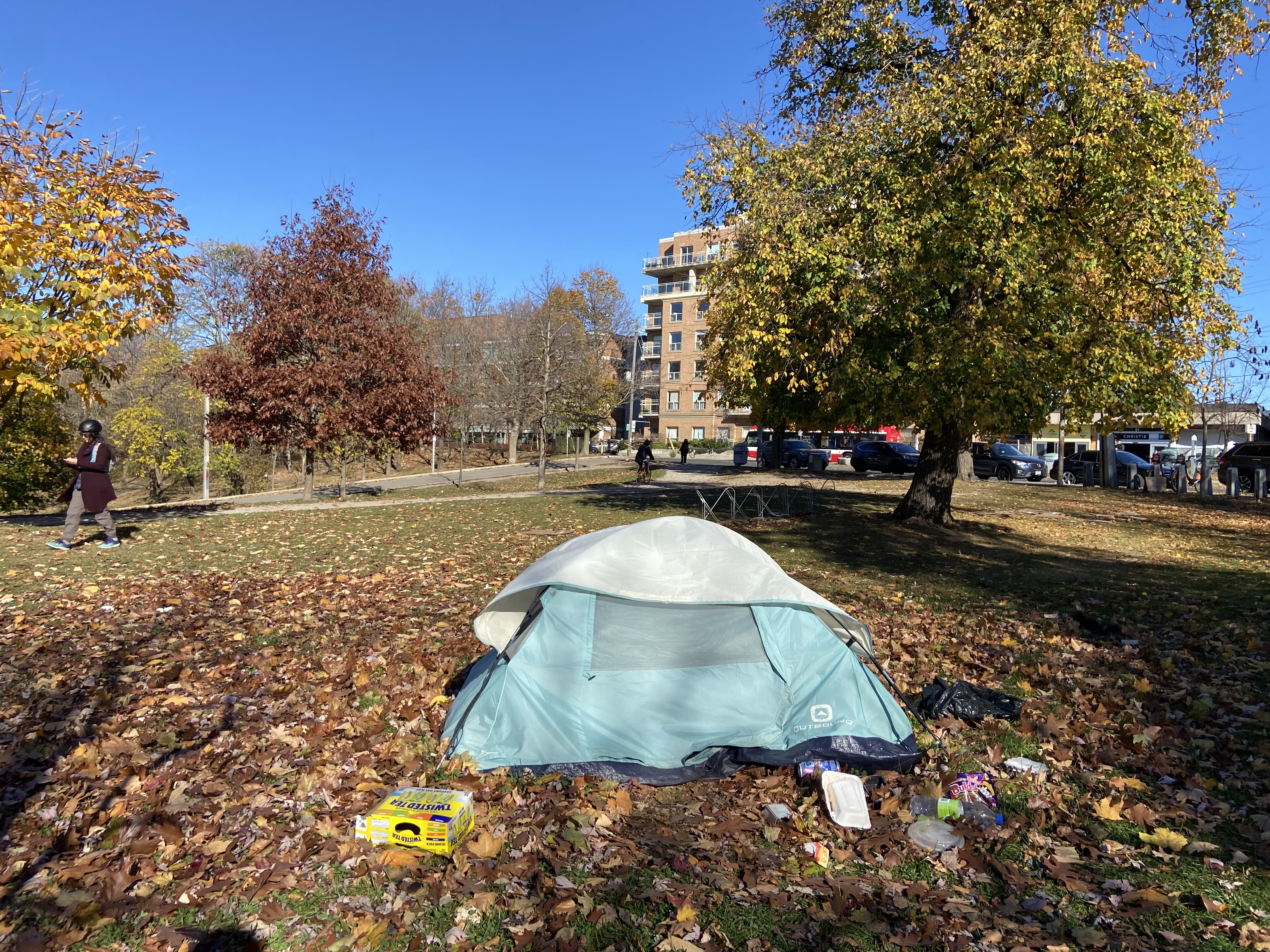 A blue tent in a park surrounded by trees and fallen leaves